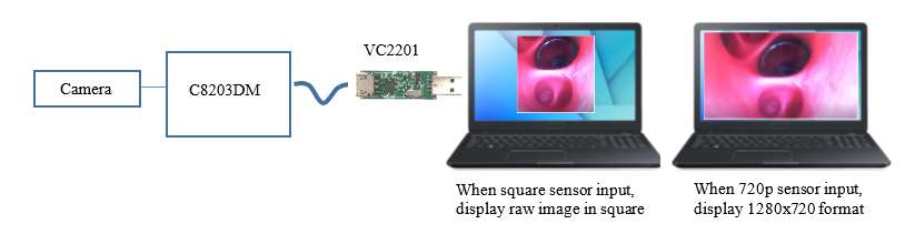 VC2201 application block diagram