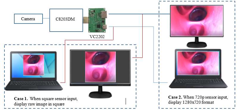 VC2202 application block diagram